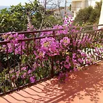 Pogled *