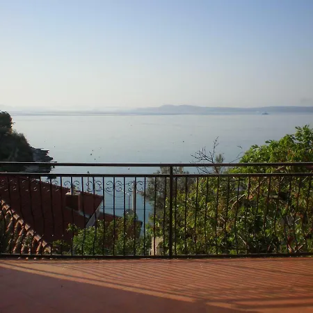Pogled
