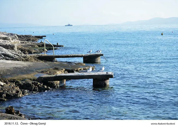 Pogled